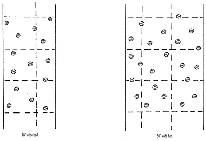 Raspberry Cane Density
