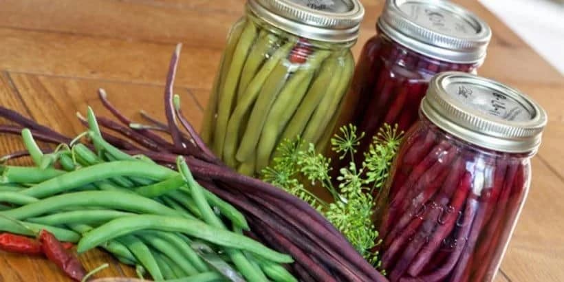 DillyBeans_WildFermentation_book dilly beans