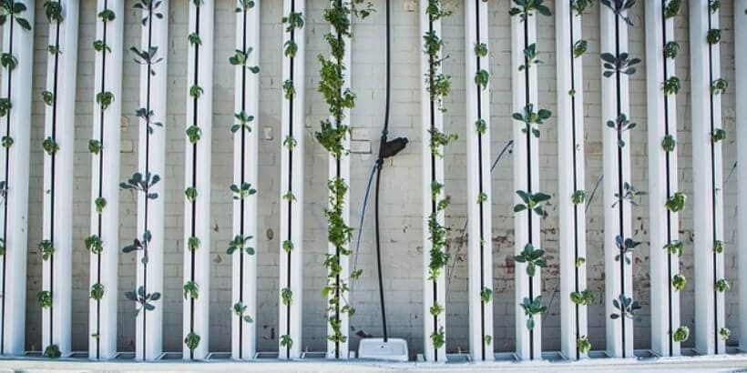bannersnack_vertical gardening vertical gardening
