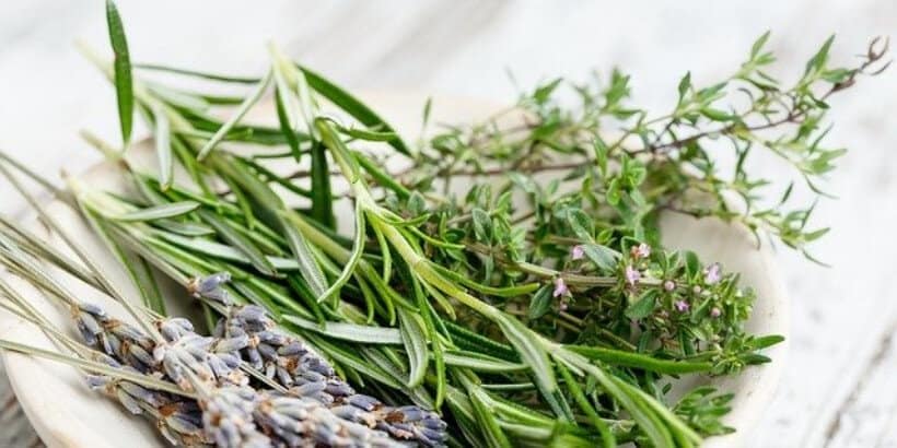 herbs_banner_bannersnack