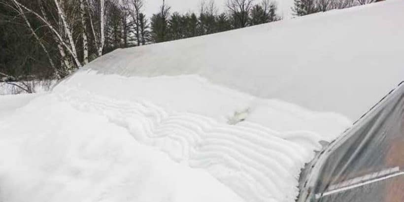snowoncar_banner_greenhousehoophouse_book snow