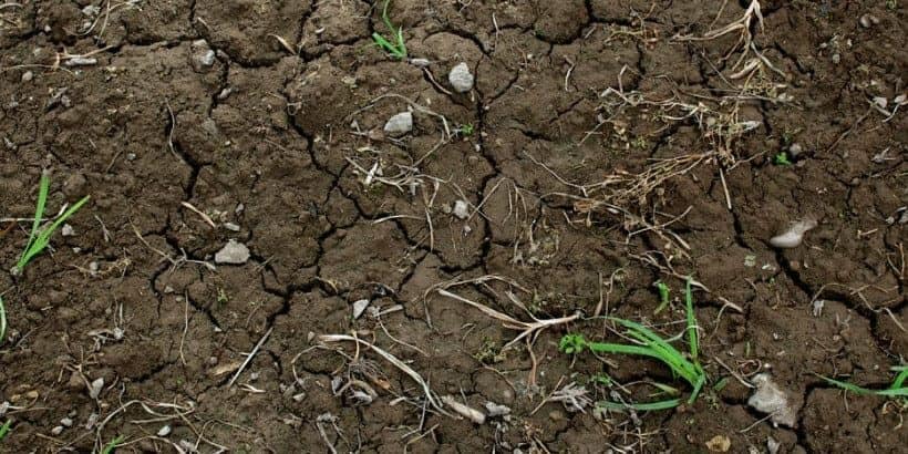soil soil