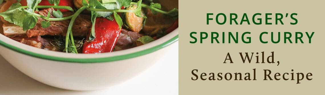 Forager’s Spring Curry_blog_1140-335