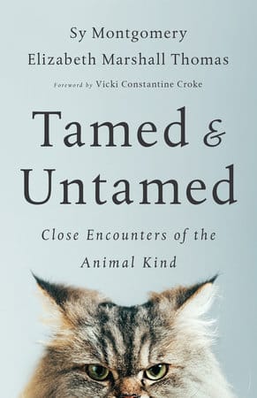 Tamed and Untamed