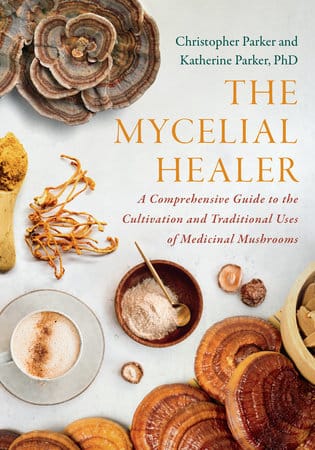 The Mycelial Healer The Mycelial Healer