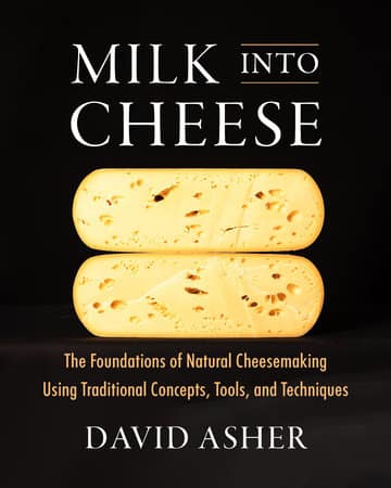 Milk Into Cheese Milk Into Cheese
