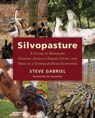 Silvopasture Silvopasture