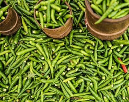 dilly beans