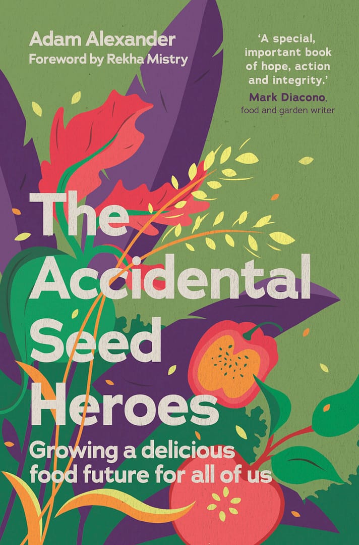 The Accidental Seed Heroes cover