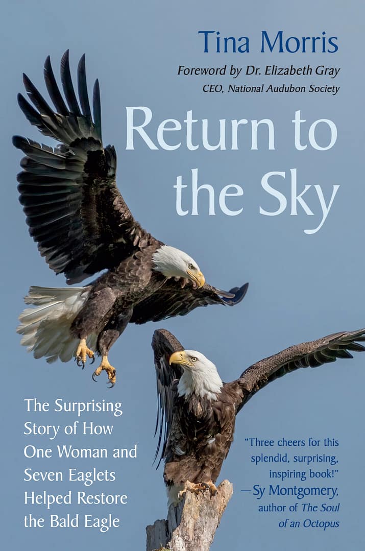 9781645022633 The Return to the Sky cover