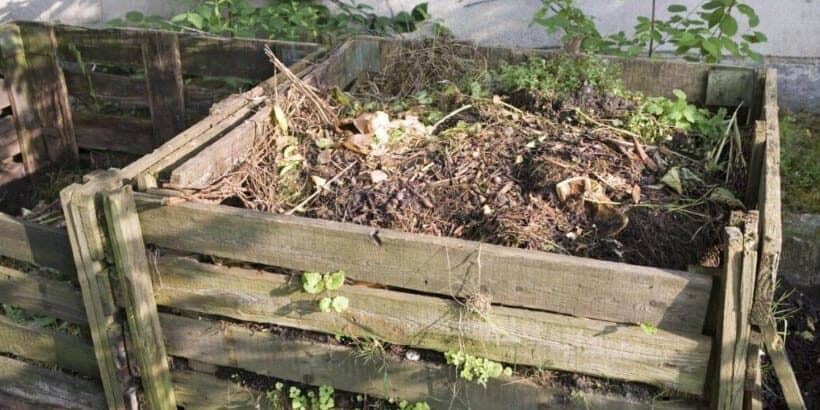 Compost_Bannersnack-Max-Quality compost