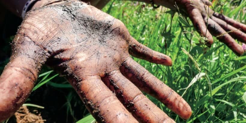 FWB_soil hands_blog feature image land