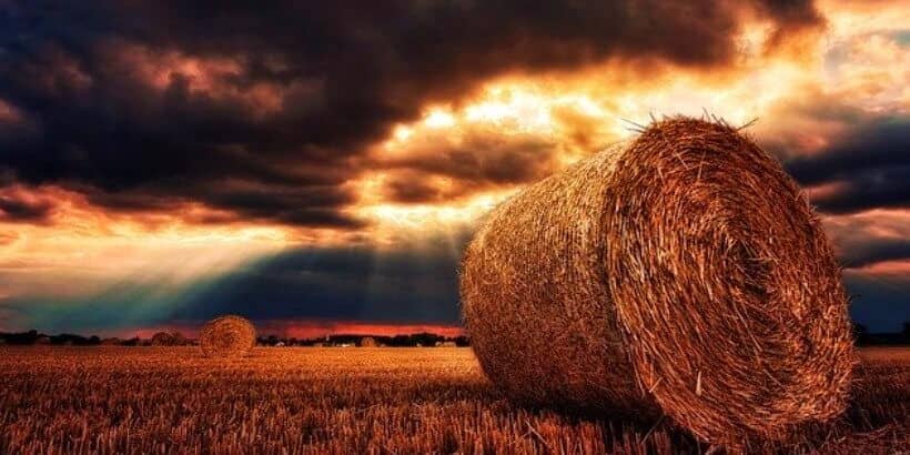 Hay_Bannersnack Hay_Bannersnack