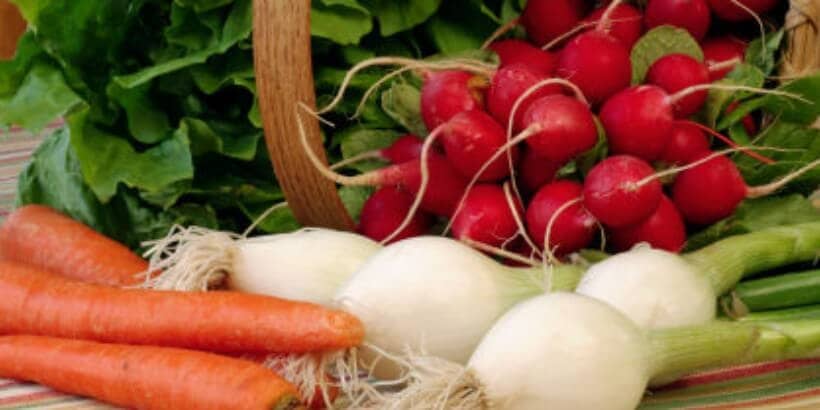 InterplantMix-panorama vegetables