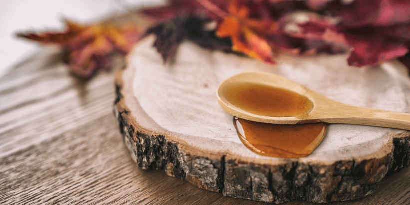 Maple_Canva Maple_Canva