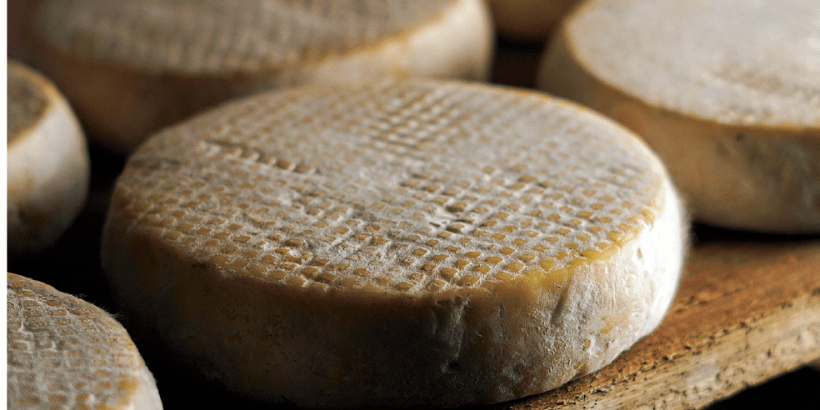 Milk Into Cheese PHOTO COURTESY OF QUEIJARIA BELAFAZENDA Cheese