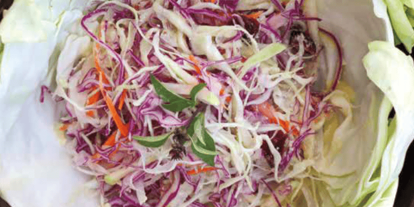 Rainbow Coleslaw_Banner_The Healthy Bones Plant-Based Nutrition Plan and Cookbook Rainbow Coleslaw_Banner_The Healthy Bones Plant-Based Nutrition Plan and Cookbook