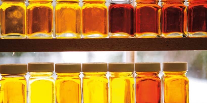 SugarmakersCompanion_SyrupGradients-Max-Quality syrup gradients