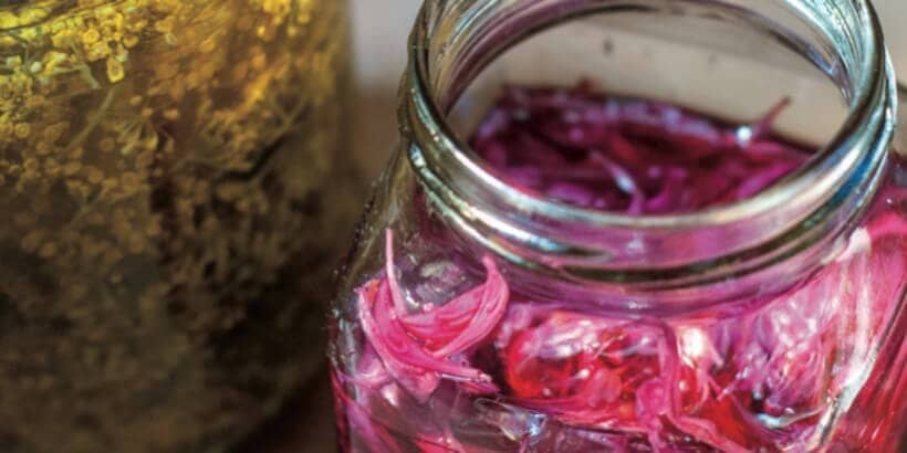 SummerHerbFlowerVinegar_OAEC herb flower vinegar