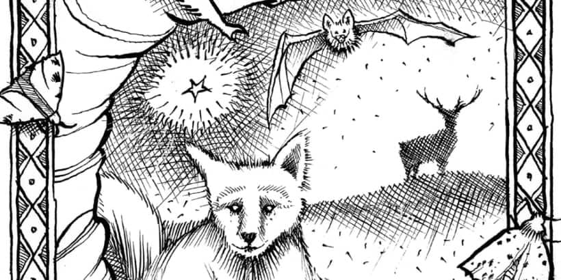 WildNightsOut_NightAnimals-Max-Quality night animals illustration