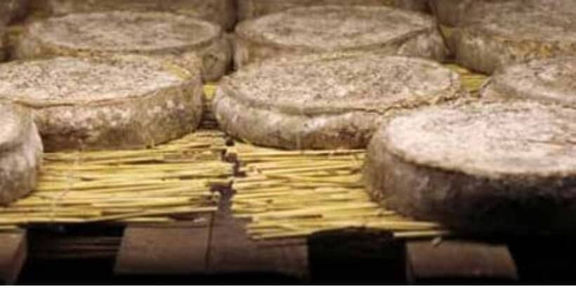artisan cheese_banner artisan cheese