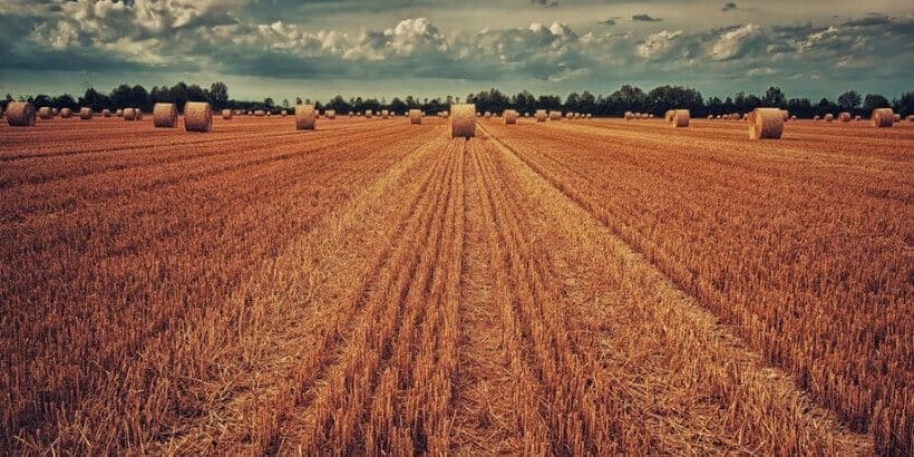 bannersnack_farm_farminglonghaul farmland with hay