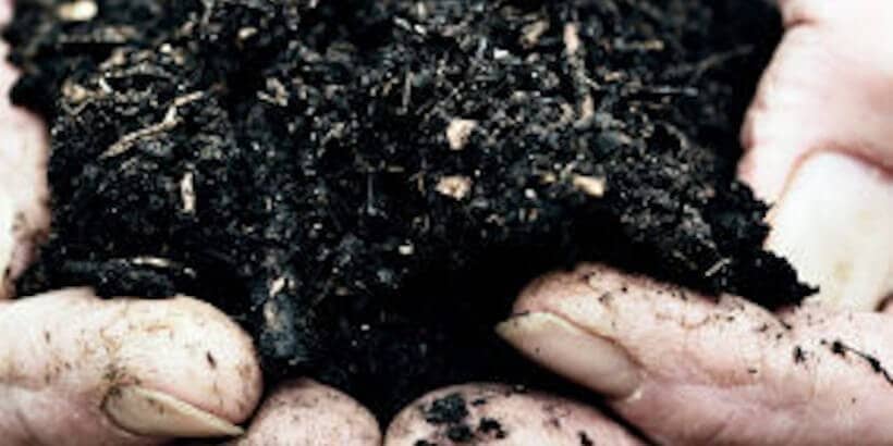 blog feature image_Compost Compost