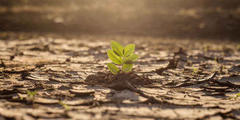climate_canva climate_canva