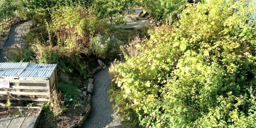 commfoodforest-banner agroforestry - public garden
