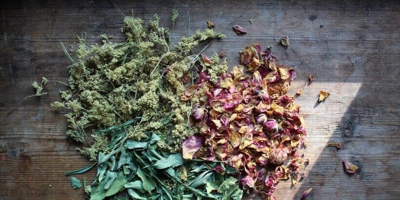 driedherbs_book driedherbs_book
