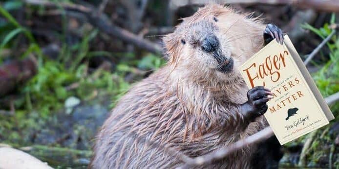 e94da64b-1a0c-4db7-8822-ee52465bcb4a beaver with eager book