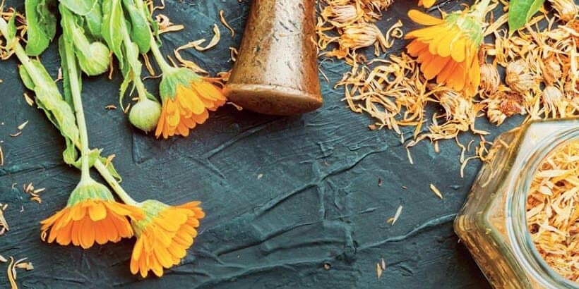 energetic herbalism cover_Bannersnack-High-Quality energetic herbalism cover_Bannersnack-High-Quality