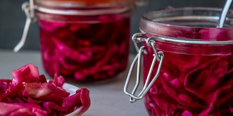 fermentation-feature-bannersnack ferment