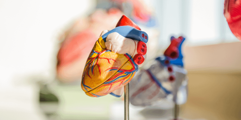 heart_banner_canva heart_banner_canva