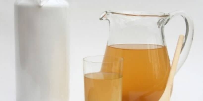 kombucha-panorama kombucha in pitcher and glass