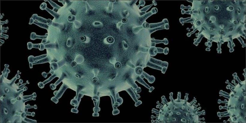microbe_bannersnack-Max-Quality Microbiome