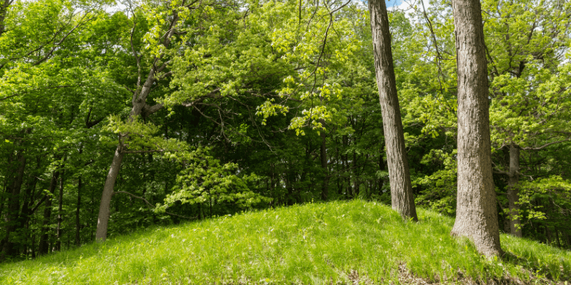 naturalburial_canva natural burials