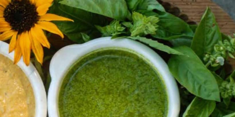 oaec cookbook-veggie mandala chervil - banner veggie mandala chervil