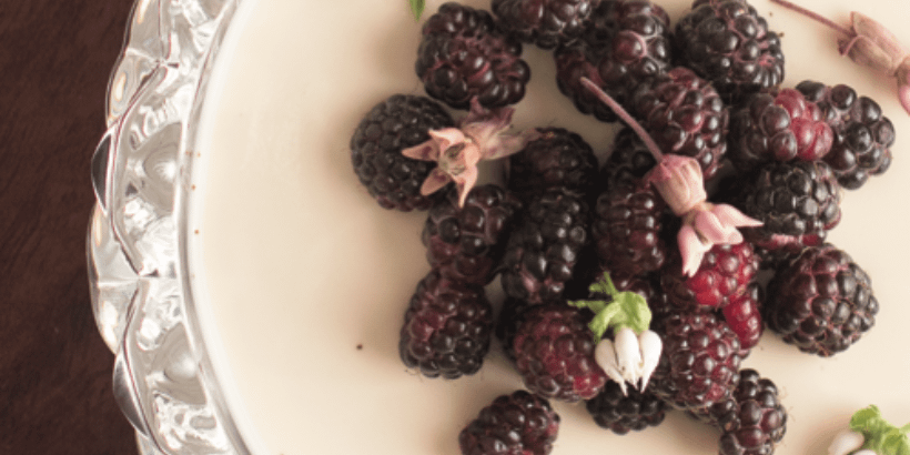 pannacotta_foragerchef_book galium panna cotta