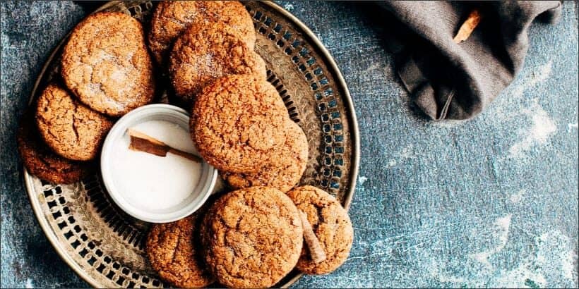 snickerdoodles_bannersnck-Max-Quality snickerdoodle