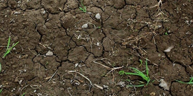 soil soil