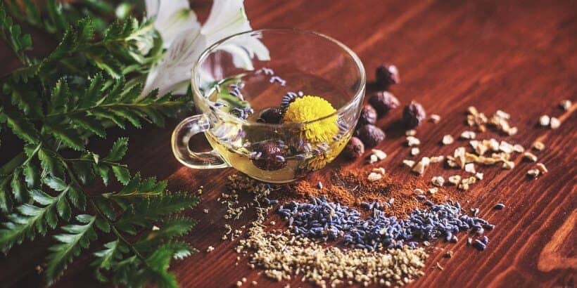 tea_herbalformularies_book tea_herbalformularies_book