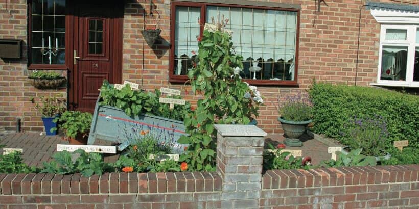 terrace_garden_bannersnack terrace_garden_bannersnack