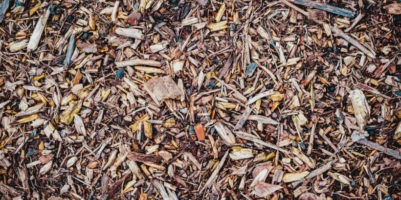 woodchip_bannersnack woodchip_bannersnack