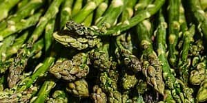 grilled asparagus