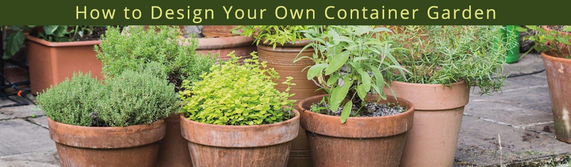 HowtoDesignYourOwnContainerGarden_blog_1140-335