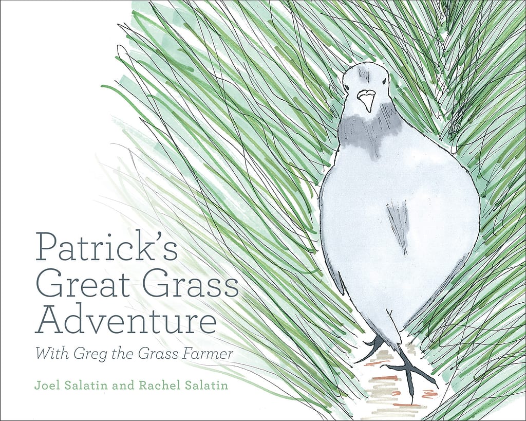 The Patrick’s Great Grass Adventure cover