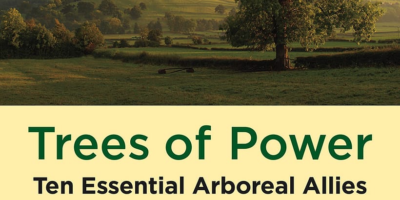 The Trees of Power cover