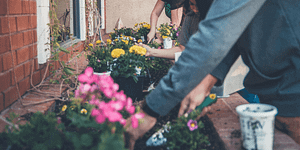 gardening