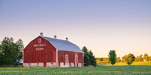 Barn in a field